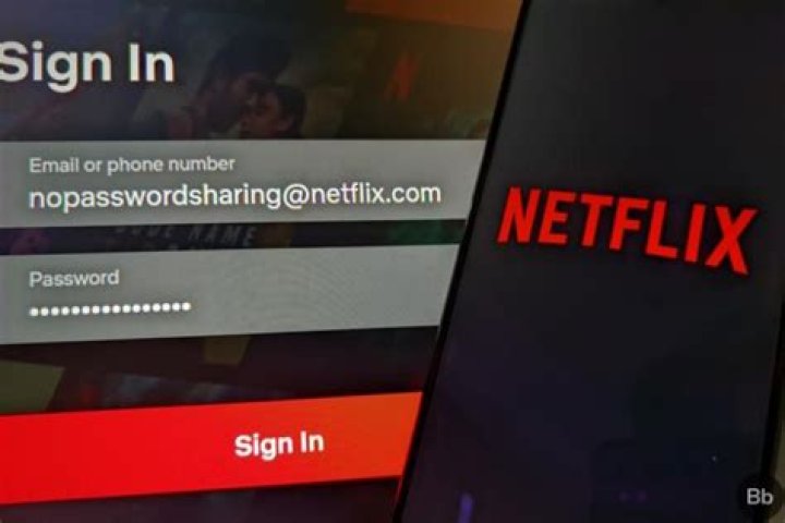 How will Netflix know about Password Sharing?